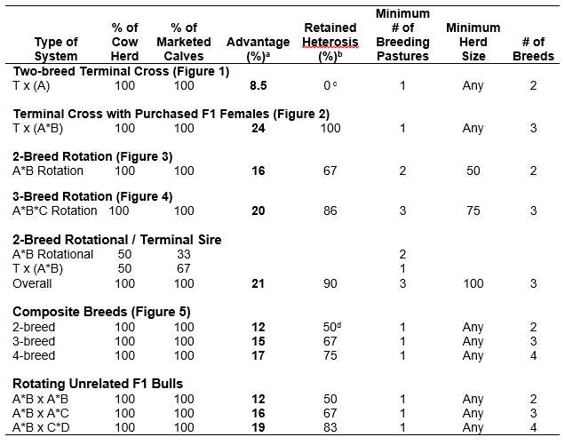 Table with summary of the described crossbreeding systems showing their advantages and other factors.